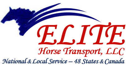 Elite Horse Transport