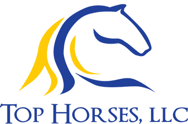 Top Horses